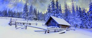 Getting through winter