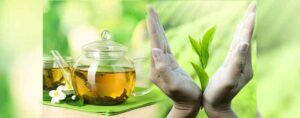 healthy tea leaves