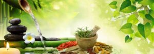 TOP 10 AYURVEDIC COMPANIES IN INDIA 2023